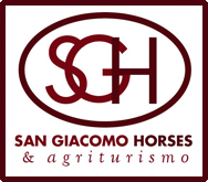 San Giacomo Horses