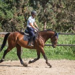 San_Giacomo_Horses_settembre_bassa_2019-64piccola